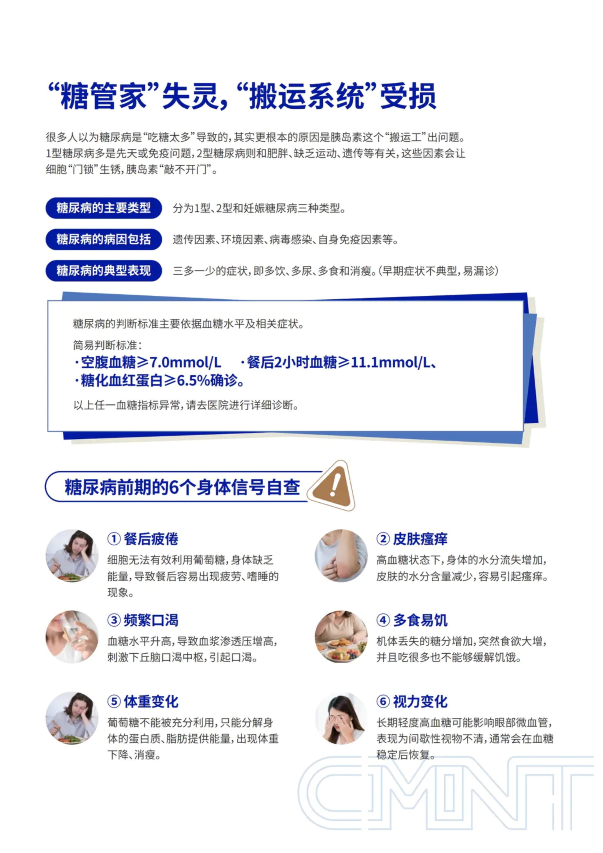 第 6 页 · “糖管家”失灵，“搬运系统”受损