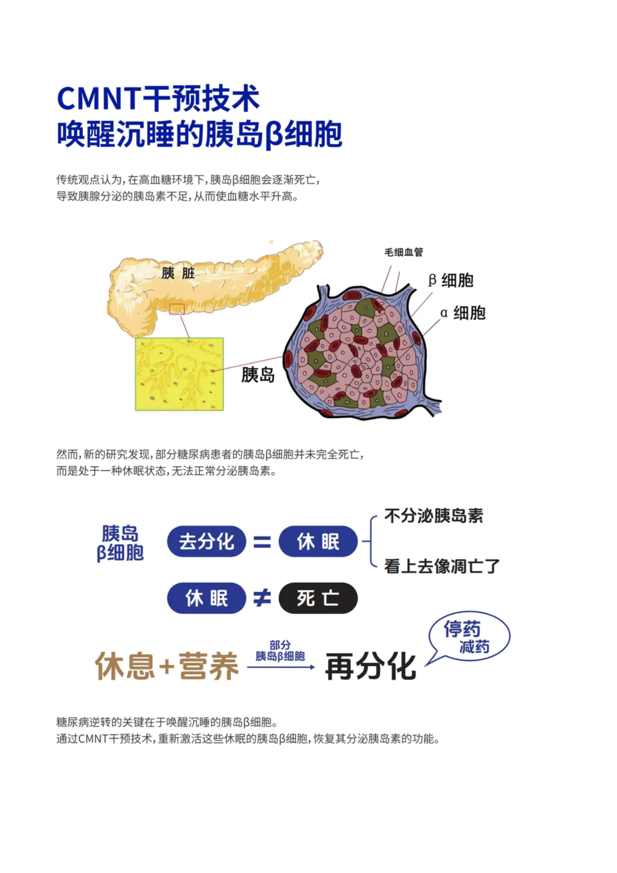 第 12 页 · 唤醒沉睡的胰岛β细胞