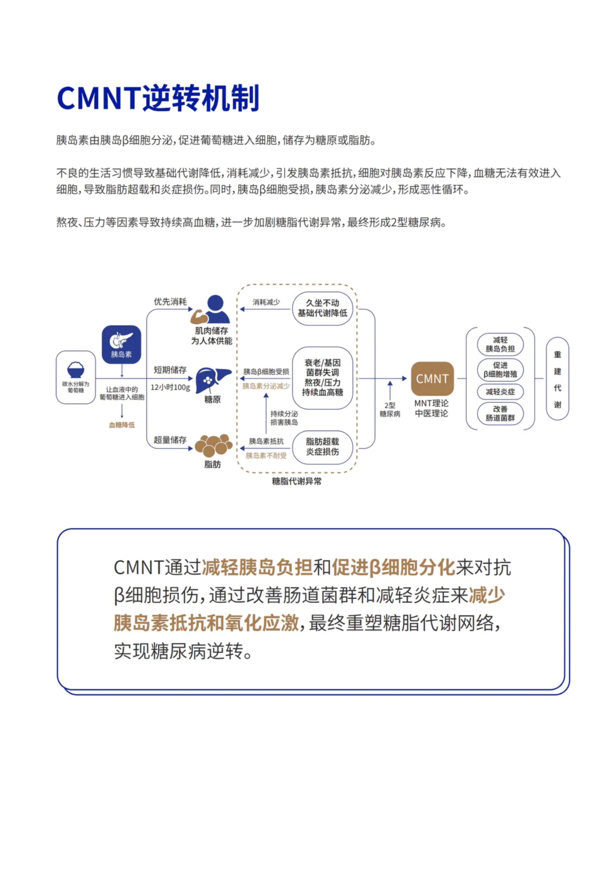 第 14 页 · CMNT逆转机制