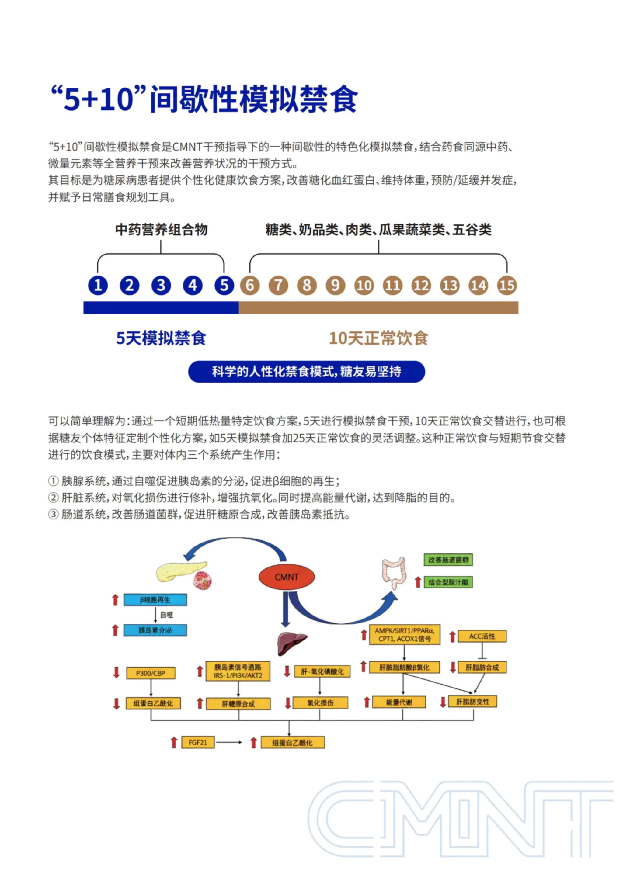 第 19 页 · “5+10”间歇性模拟禁食